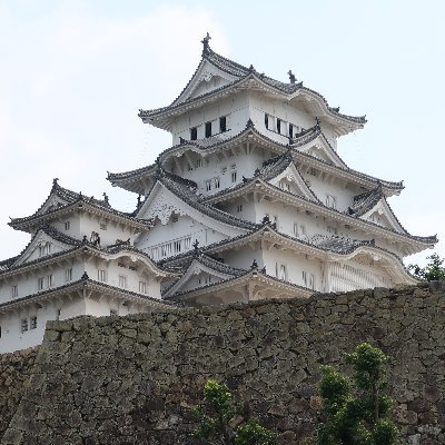 いつか平和な地球になればと心から願っています
日本🇯🇵に生まれ日本人であることに誇りを感じています
DMは使用しておりません、変換間違い、日本語力不足お許しください、決して悪意はございません