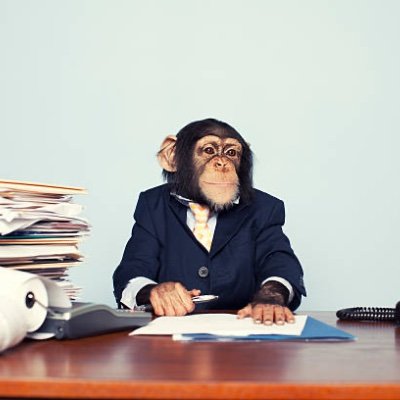 Chimp_Activity Profile Picture