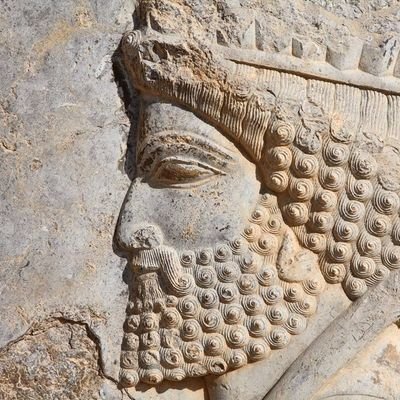 LoiZagh's profile picture. 