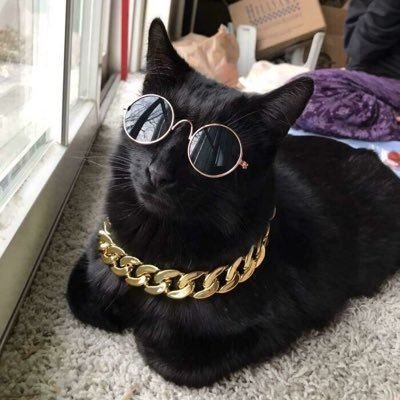 Neyo04883278718's profile picture. 