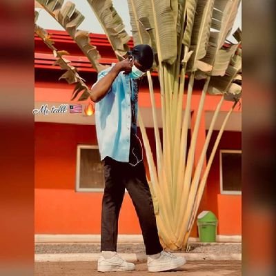 CollMan1488141's profile picture. 