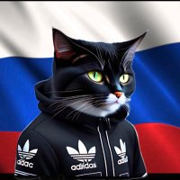 Gopnik Kot (@artecplus) 's Twitter Profile