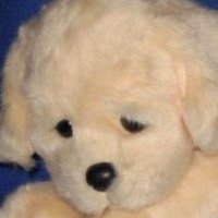 ² ² (@22_1215) 's Twitter Profile Photo ² ² (@22_1215) 's Twitter Profile Photo
