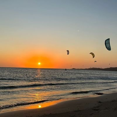 Bryan04374036's profile picture. Los modales forman al hombre. 🎩