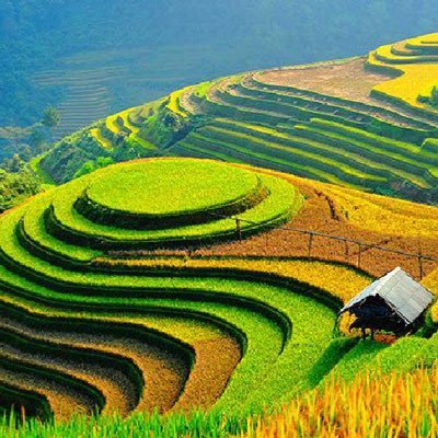 Nguynvn55444671's profile picture. 