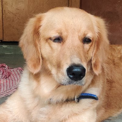 s23592288's profile picture. I'm a student