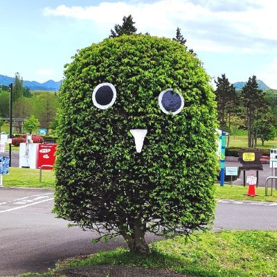 gosyo_park's profile picture. 岩手県立御所湖広域公園のXアカウントです。主に公園内の風景・イベント等、発信してまいります。：指定管理者　KOIWAI・F（小岩井農場を運営している小岩井農牧株式会社と山林事業を行っている(有)フォレストサービスの企業体です。）公園ホームページも宜しくお願い致します。気軽にフォローよろしくお願いします。