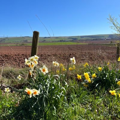 GraceAnneJ23's profile picture. Interest in Infection Prevention & Control, Human Factors and Education. BA, RGN,MSc PGCert FHEA. All views expressed are my own. Retweets are not endorsements.