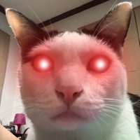Naris (@kontood) 's Twitter Profile