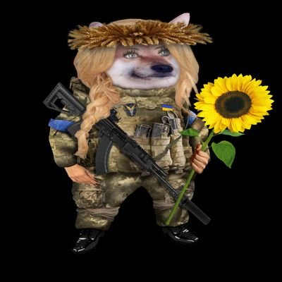 #NafoExpansionIsNonNegotiable;
proud mother of 3, IT nerd; Waffenlieferungsultra