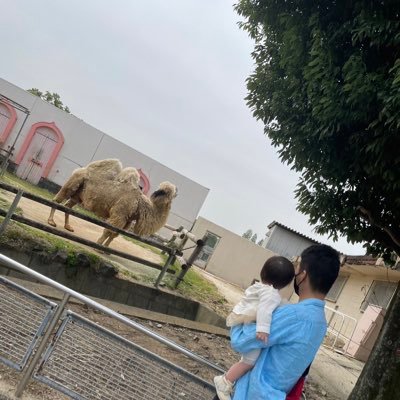 0906ryutyan's profile picture. 