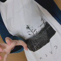 Rei🐣🌱 (@code_reito) 's Twitter Profile