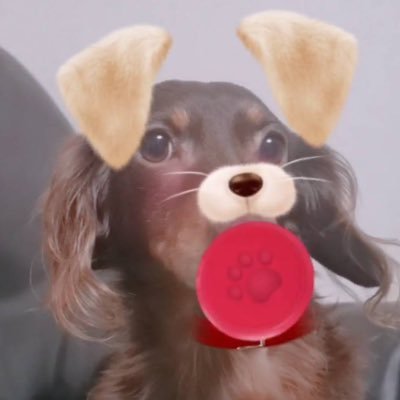 ももやんさんのプロフィール画像