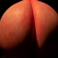 burdur Pasif (@torettosbitch11) Twitter profile photo