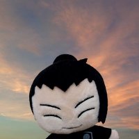 ひよこまめ (@hiyokokomame) 's Twitter Profile