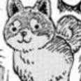 tsennkoさんのプロフィール画像