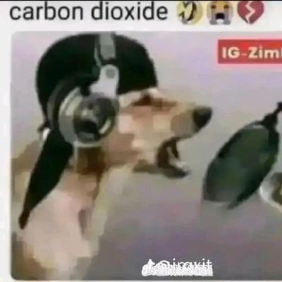 CiorapNicoleta's profile picture. 