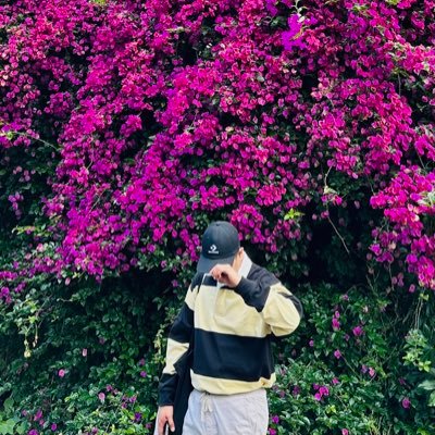 nefelibatuh's profile picture. amor propio. 🍃 🇵🇭🇦🇺