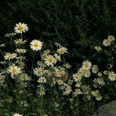 khx_na's profile picture. Music will heal you.