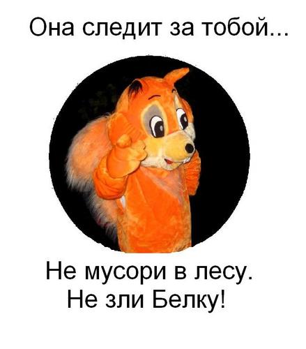 Митинская белка жестко мстит тем, кто мусорит в ее лесу. Бойся - белка негодуэ! И за мусор в лесу наказываэ!!!