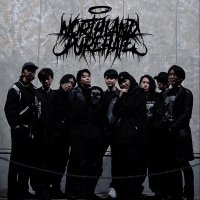 NORTHLANDPUREHATE (@nph025) 's Twitter Profile Photo