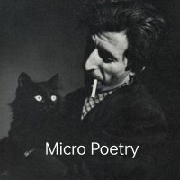 Micro Poetry(@Antonia45679065) 's Twitter Profile Photo