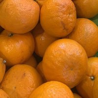 oranges(@sandikala_) 's Twitter Profile Photo