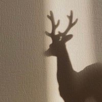 fa (@iifatimma) Twitter profile photo