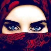 Zoya Ali Khan(@ZoyaAliKh) 's Twitter Profile Photo