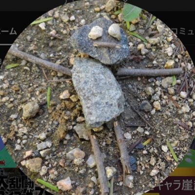 WD35P's profile picture. ホロライブ好き