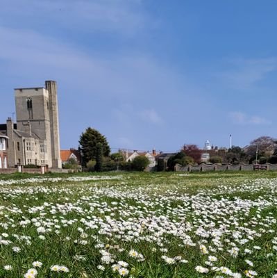 sean1cronin's profile picture. 