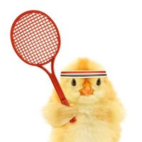 Out Of Context Badminton(@nocontextbad) 's Twitter Profile Photo