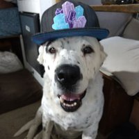 d (@dontask_3) 's Twitter Profile