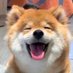 Fluffy cat (@yanti_tamar) Twitter profile photo Fluffy cat (@yanti_tamar) Twitter profile photo