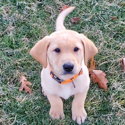 macunderpar69's profile picture. 