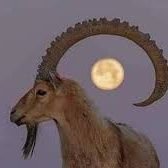 abnalwes2's profile picture. عسى الايام تجمعنا