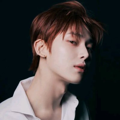 υlt 지민 вιαѕєd • ѕhє/her • ⟬⟭ᴇɴ- ѕtαn & вnѕ αccσυnt ◡̈ • ѕlσw cσllєctσr