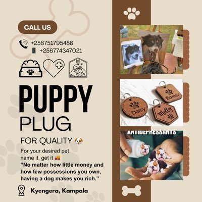 🐶| WhatsApp +256774347021 for business. kuba silina love, ndi mukowu atte tomanjyaa 😒