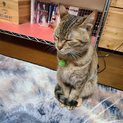 2023年4月離婚しました💦44歳バツ2。残ったのは猫2匹🐱これから1人で生きてこうと決意したけど彼女が出来、人並みやけど幸せに自由に暮らしています。結婚が全てじゃない。離婚は終わりじゃない。むしろスタート👍🏻 ̖́-
