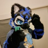 Tenzo(@TenzotheTiger) 's Twitter Profile Photo