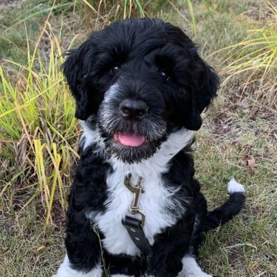 BraxResearch's profile picture. fixed income pm