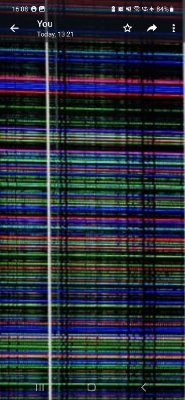 thisispurepish's profile picture. 