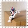 haruki_toku's profile picture. 特撮趣味用アカウント。とうの昔に成人してますが時々マッハちゃんについて大人げなく吠えます。ホームグラウンドがライブハウスからヒーローショーの現場に移った元バンギャル。最近はおジャグと中の人とミナミコアリクイに夢中で脳内ゼッパンドンちゃんと仲良く暮らしてます