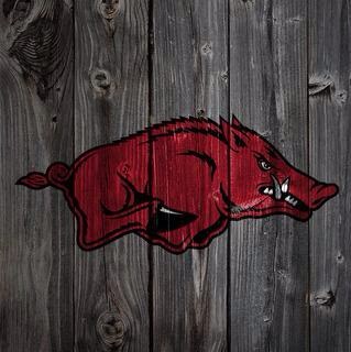 builtforspeedha's profile picture. 