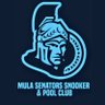 snookermula's profile picture. Asociación deportiva dedicada a la práctica y difusión del billar y del snooker, con sede en Mula (Murcia). 📞 613500175