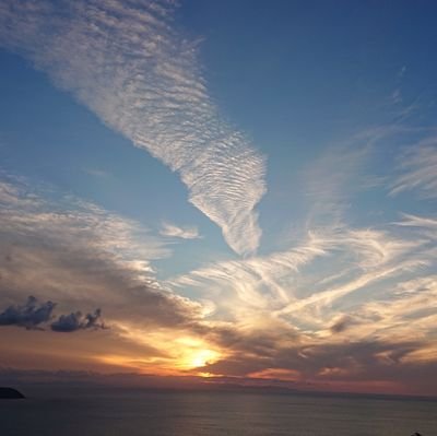 zzxui1060's profile picture. 