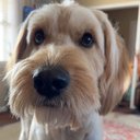 Joel Ogle - @JoelOgle80 - Twitter