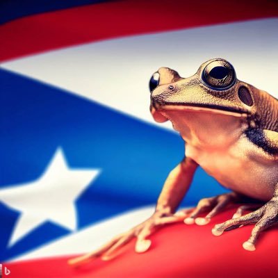 Información y recursos sobre Puerto Rico. Aquí compartimos lo mejor y lo peor de nuestra isla. We espik englich too!