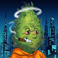 Homegrown Budz(@Homegrown_NFT) 's Twitter Profile Photo