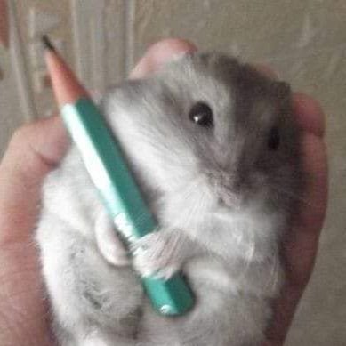 Loma_er's profile picture. 